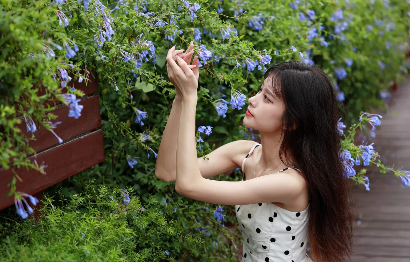 Фото обои Beautiful, Asian, Model, Flowers, Woman, Cute, Pretty, Petite