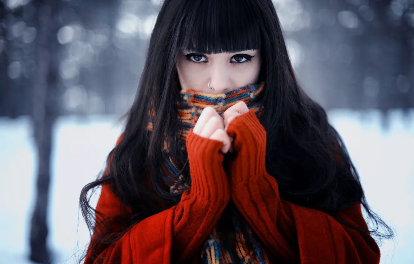 Фото обои зима, взгляд, лицо, Девушка, шарф, брюнетка, свитер