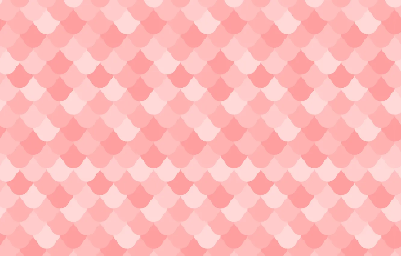 Фото обои розовый, текстура, Color, морские гребешки