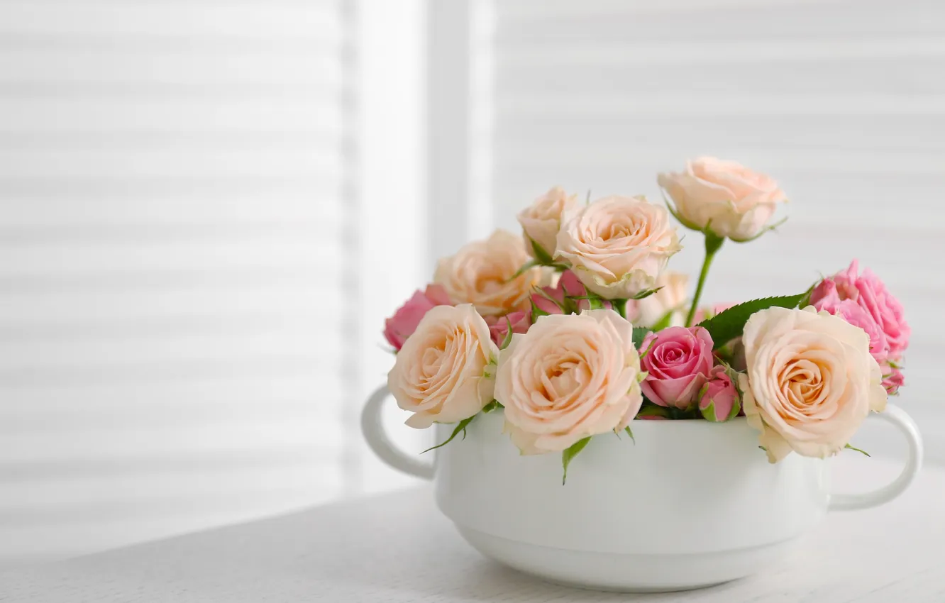 Фото обои цветы, розы, букет, бутоны