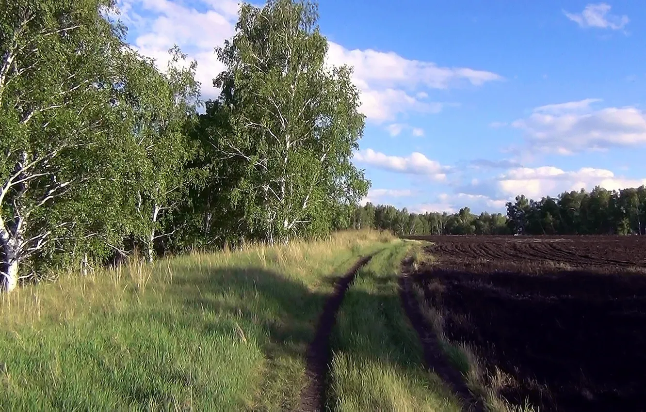 Фото обои лето, земля, пашня, Русское поле