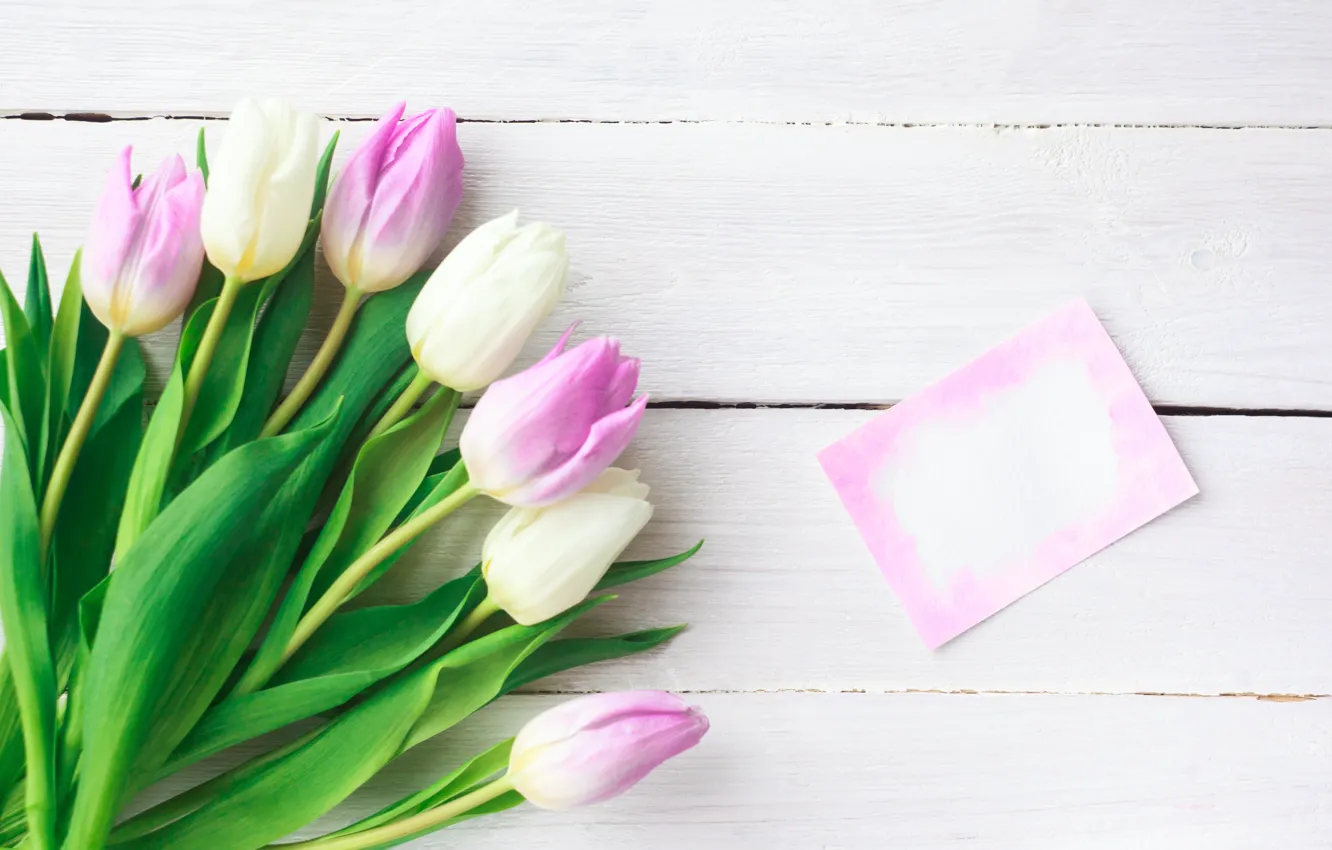 Фото обои цветы, букет, тюльпаны, розовые, white, fresh, pink, flowers