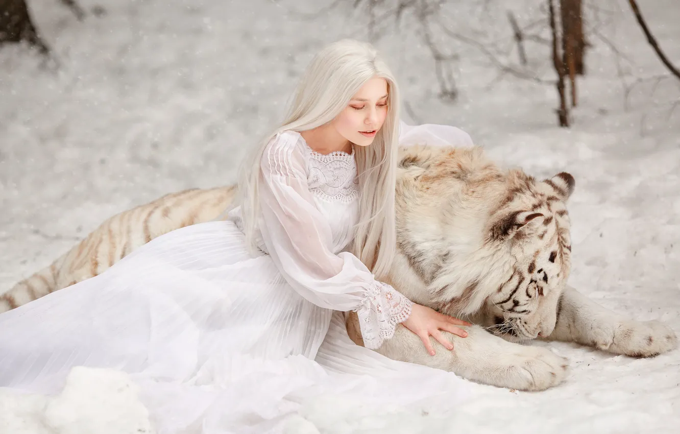Фото обои зима, белый, девушка, снег, природа, лицо, тигр, поза