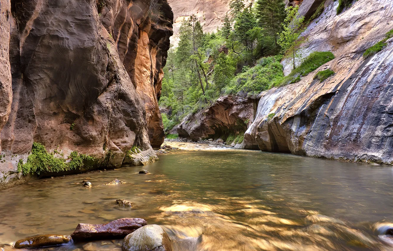 Фото обои деревья, река, камни, скалы, поток, каньон
