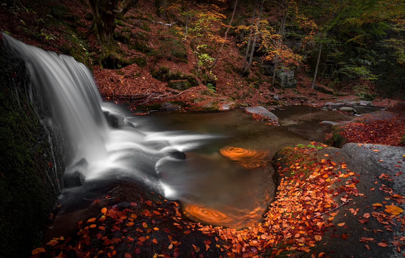 Фото обои осень, лес, листья, пейзаж, природа, камни, водопад