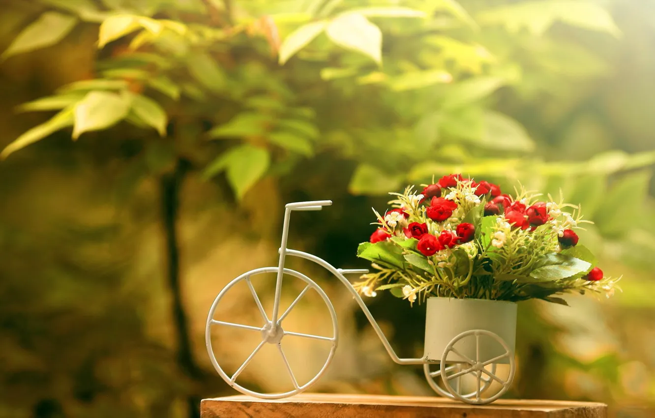Фото обои зелень, цветы, велосипед, листва, букет, красные