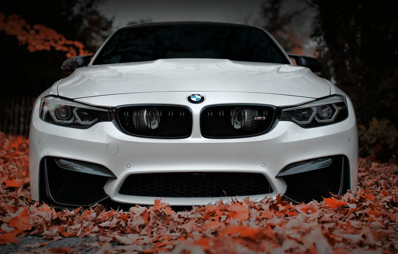 Фото обои BMW, Front, White, Autumn, Face, F80, Sight, Aggressive