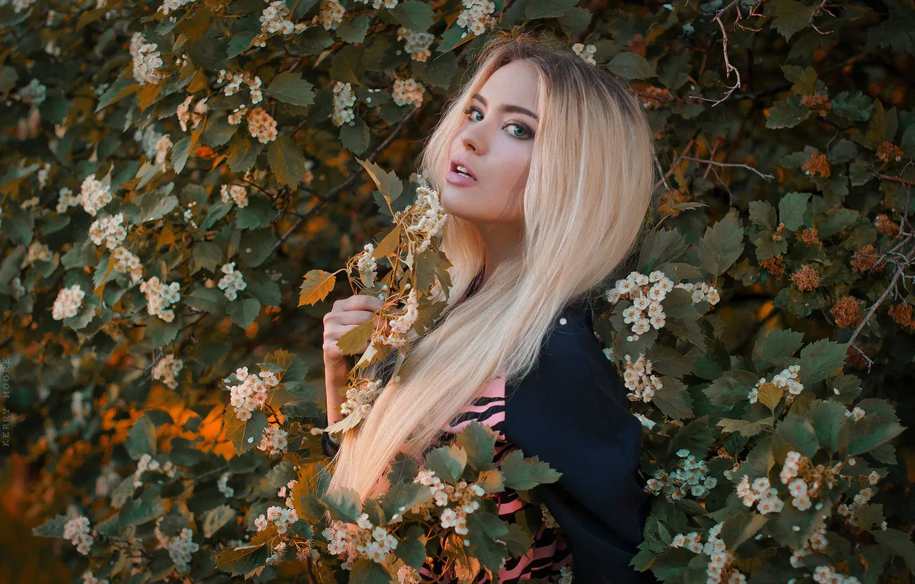 Фото обои blonde, Alena, portrait, Kerry Moore