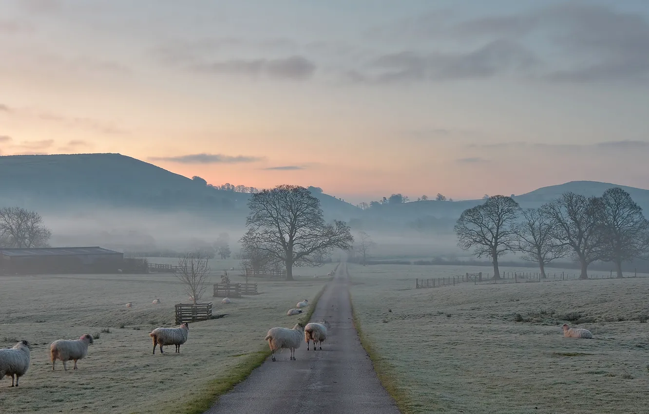 Фото обои иней, дорога, деревья, горы, природа, туман, Англия, утро