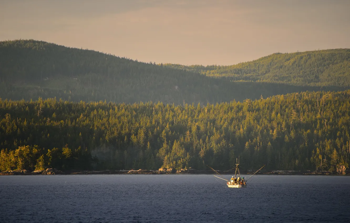 Фото обои lake, hills, boat, sunny, fishermen