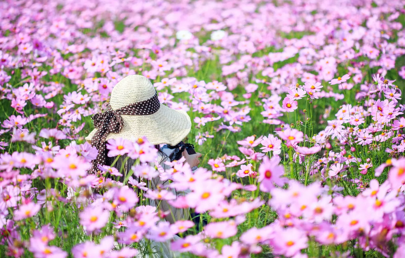 Фото обои лето, цветы, шляпка