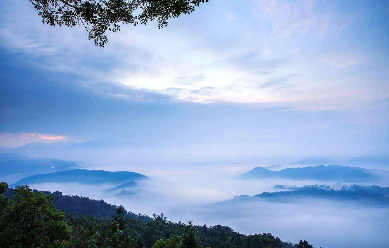 Фото обои пейзаж, природа, туман, утро