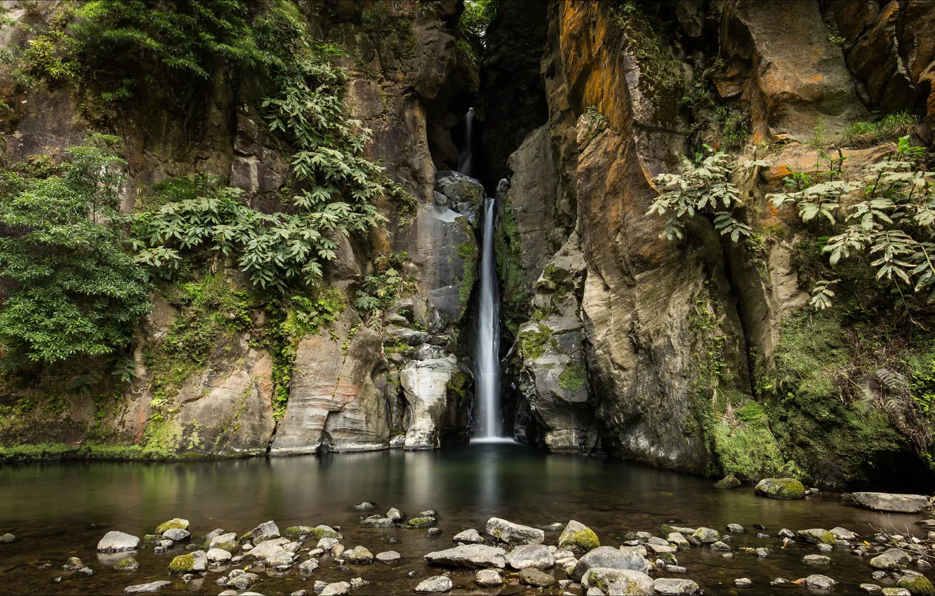 Фото обои landscape, nature, waterfall