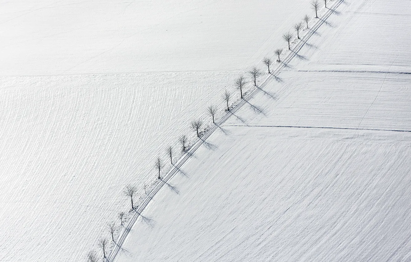 Фото обои поле, снег, деревья, пейзаж, минимализм