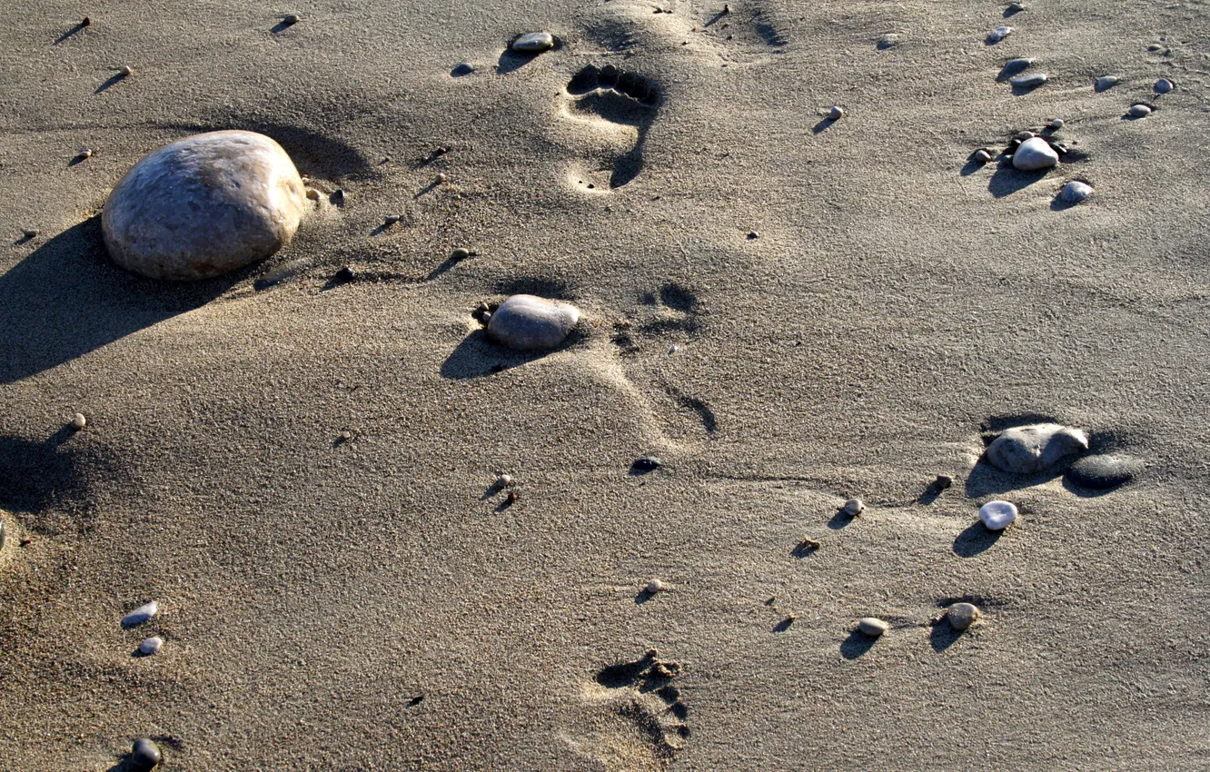 Фото обои песок, море, солнце, галька, отдых, релакс