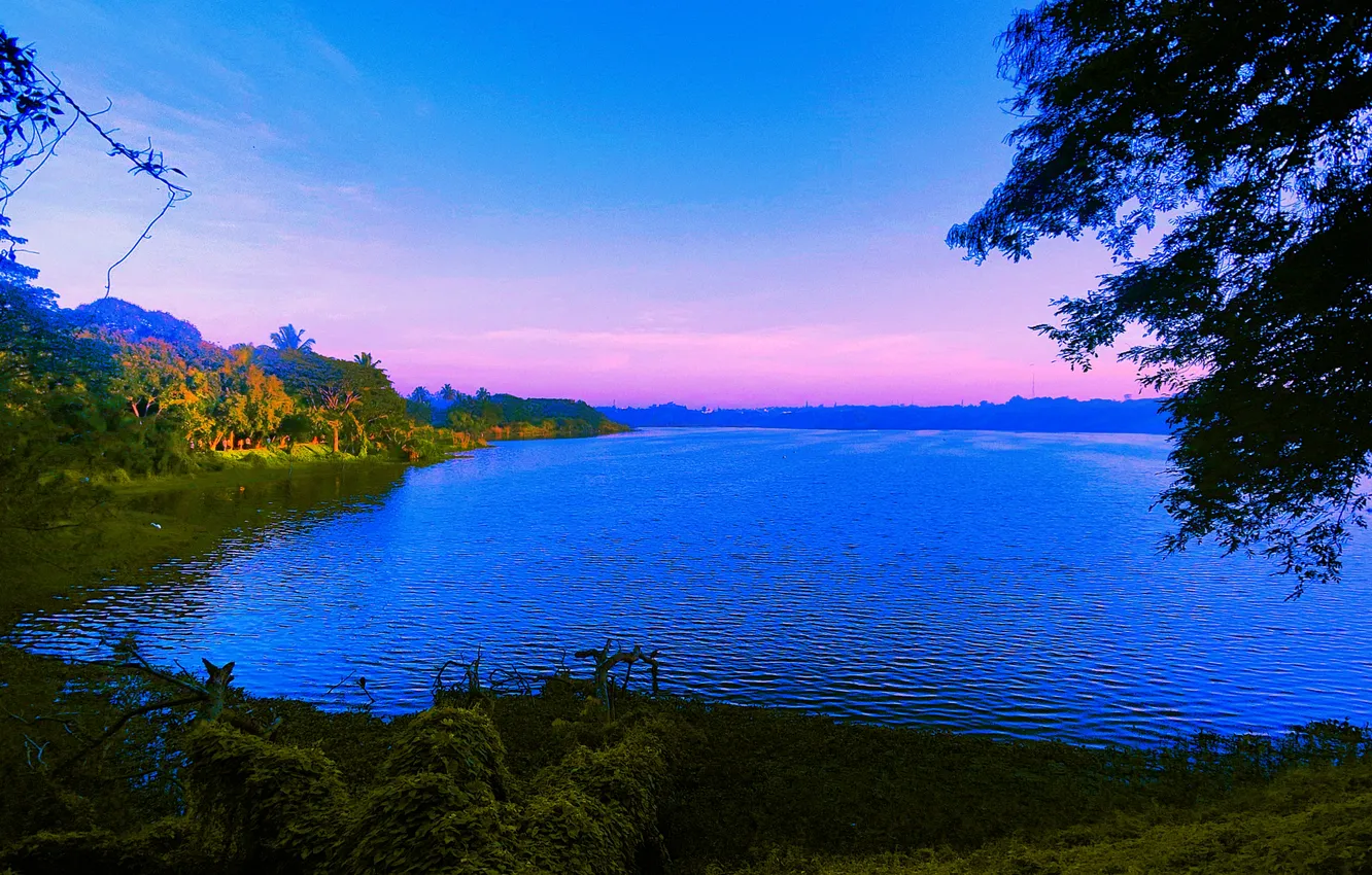 Фото обои Sky, Grass, Water, Sunrise, Dawn, Morning, Lake, Trees