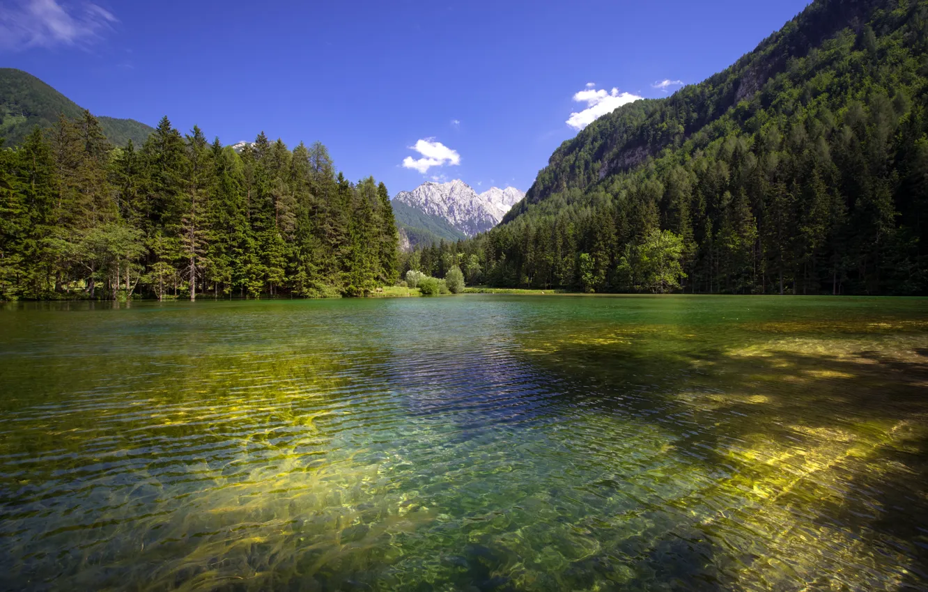 Фото обои лес, горы, озеро, рябь на воде, Словения, Slovenia, Planšarsko jezero, Планшарско озеро