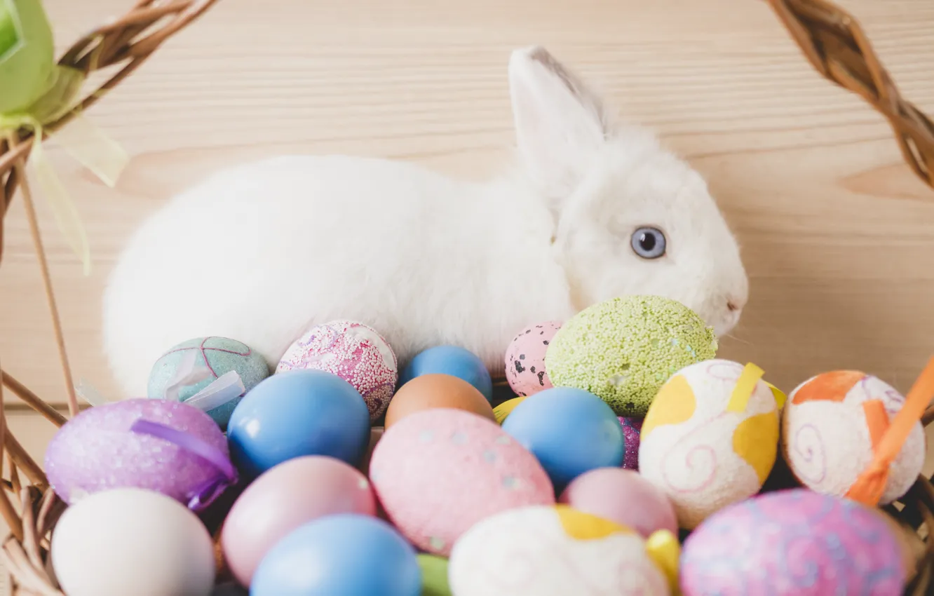 Фото обои Кролик, Пасха, Яйца, Праздник