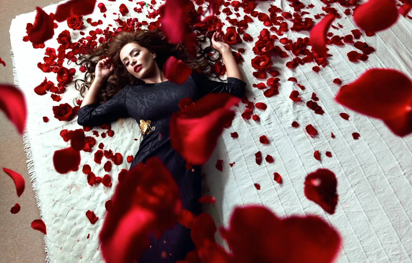 Фото обои девушка, розы, лепестки, red roses, Daniel Ilinca