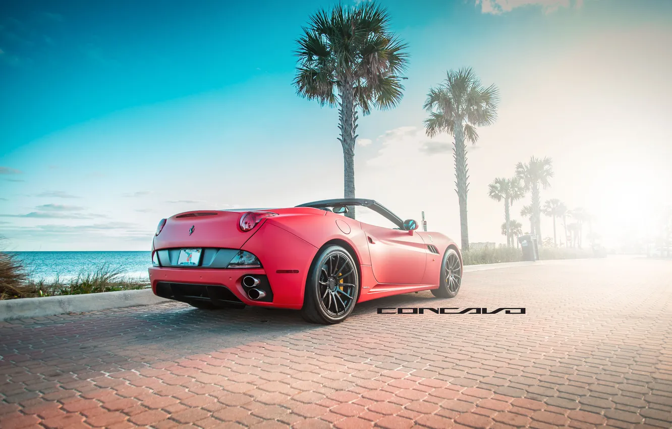 Фото обои машина, авто, пальма, Ferrari, auto, California, Wheels, Concavo