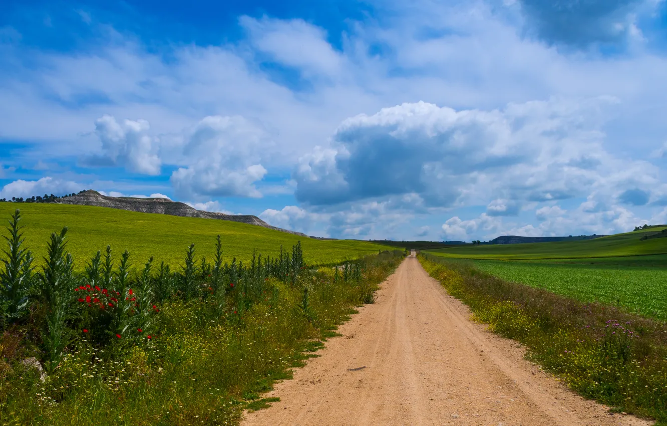 Фото обои дорога, зелень, небо, трава, облака, поля, простор, Испания