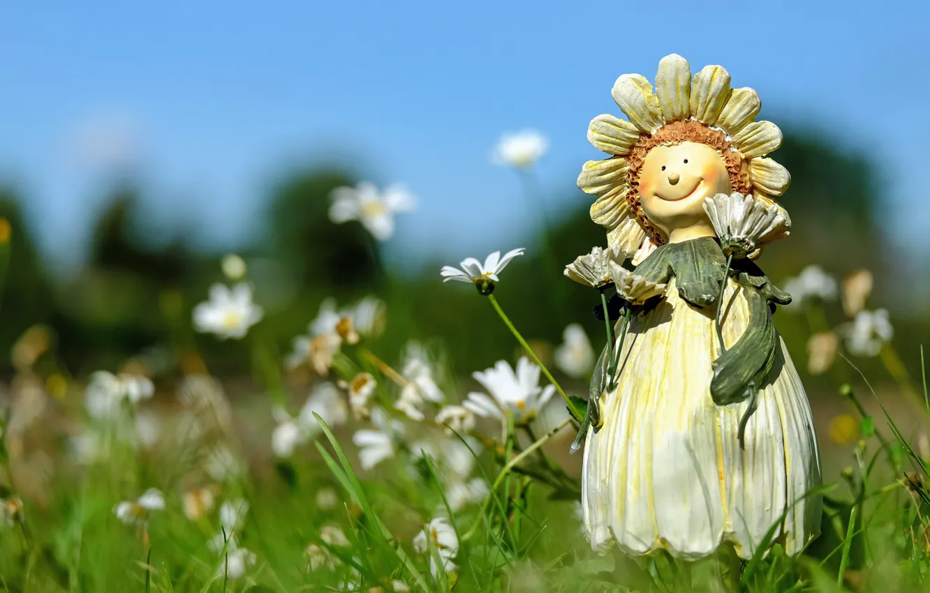 Фото обои поле, лето, трава, цветы, ромашки, кукла, фигурка