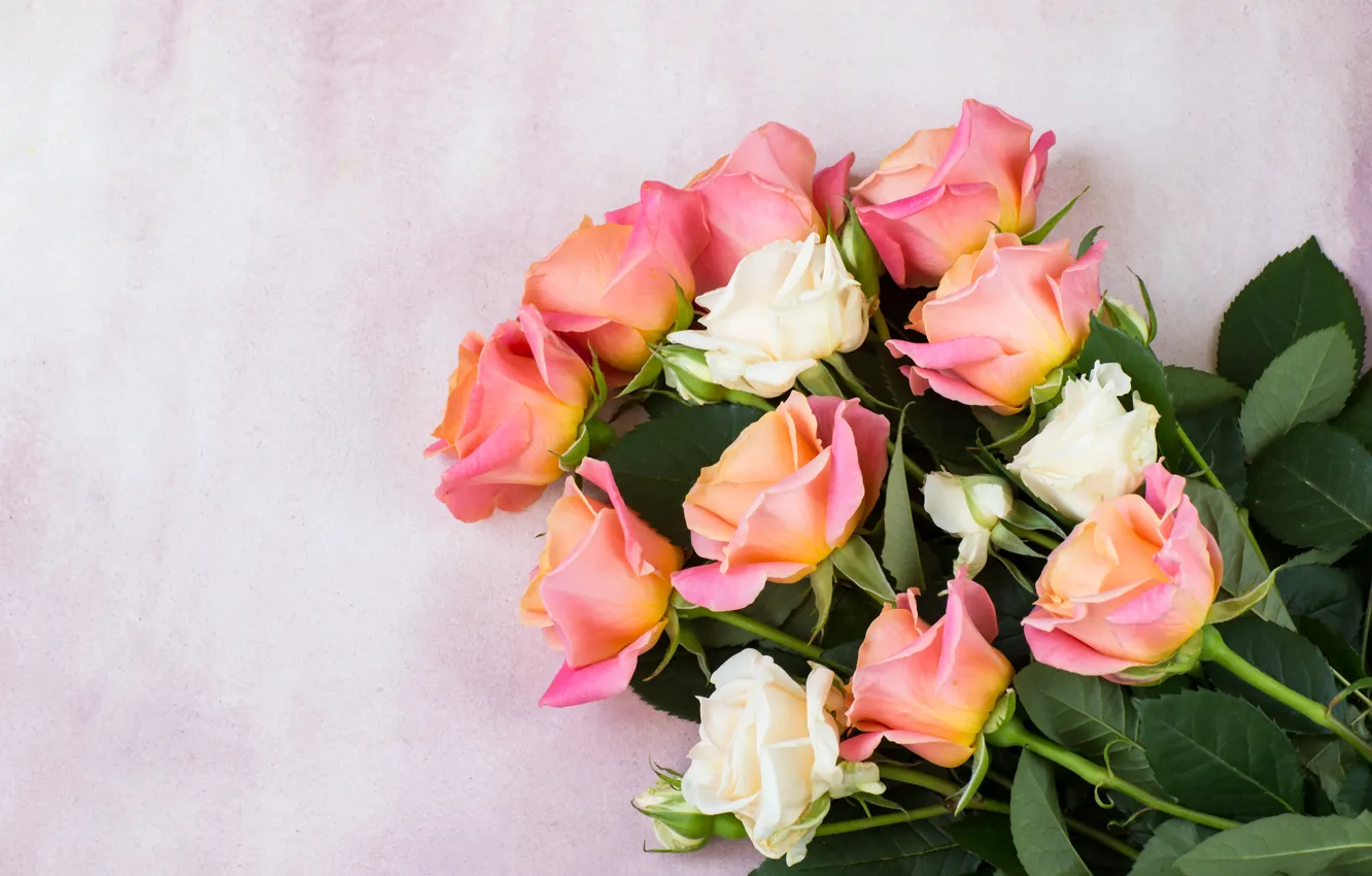Фото обои розы, букет, кремовый, розовые, LAIMDOTA GRIVANE