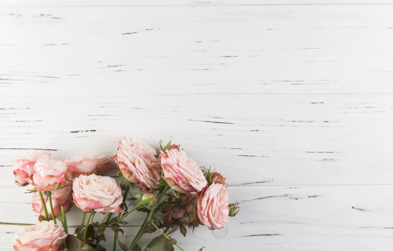 Фото обои цветы, розы, розовые, wood, pink, flowers, beautiful, roses