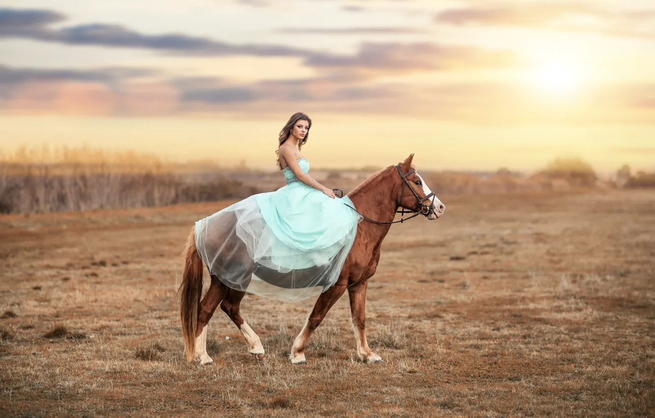 Фото обои взгляд, девушка, закат, природа, поза, лошадь, платье, красотка