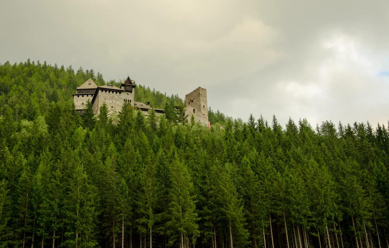 Фото обои лес, тучи, замок, forest, Castle