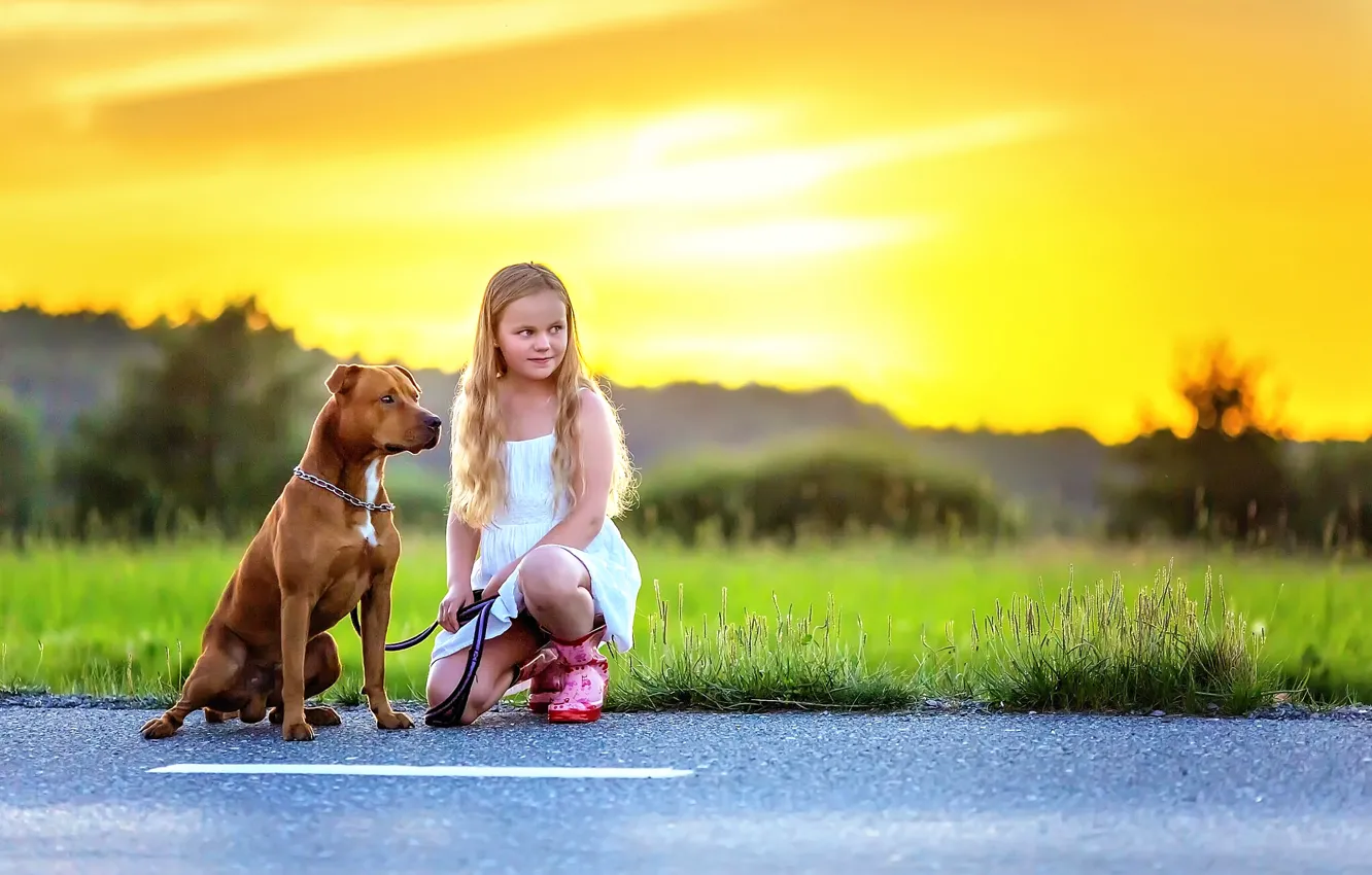 Фото обои асфальт, собака, девочка, Dog and Girl