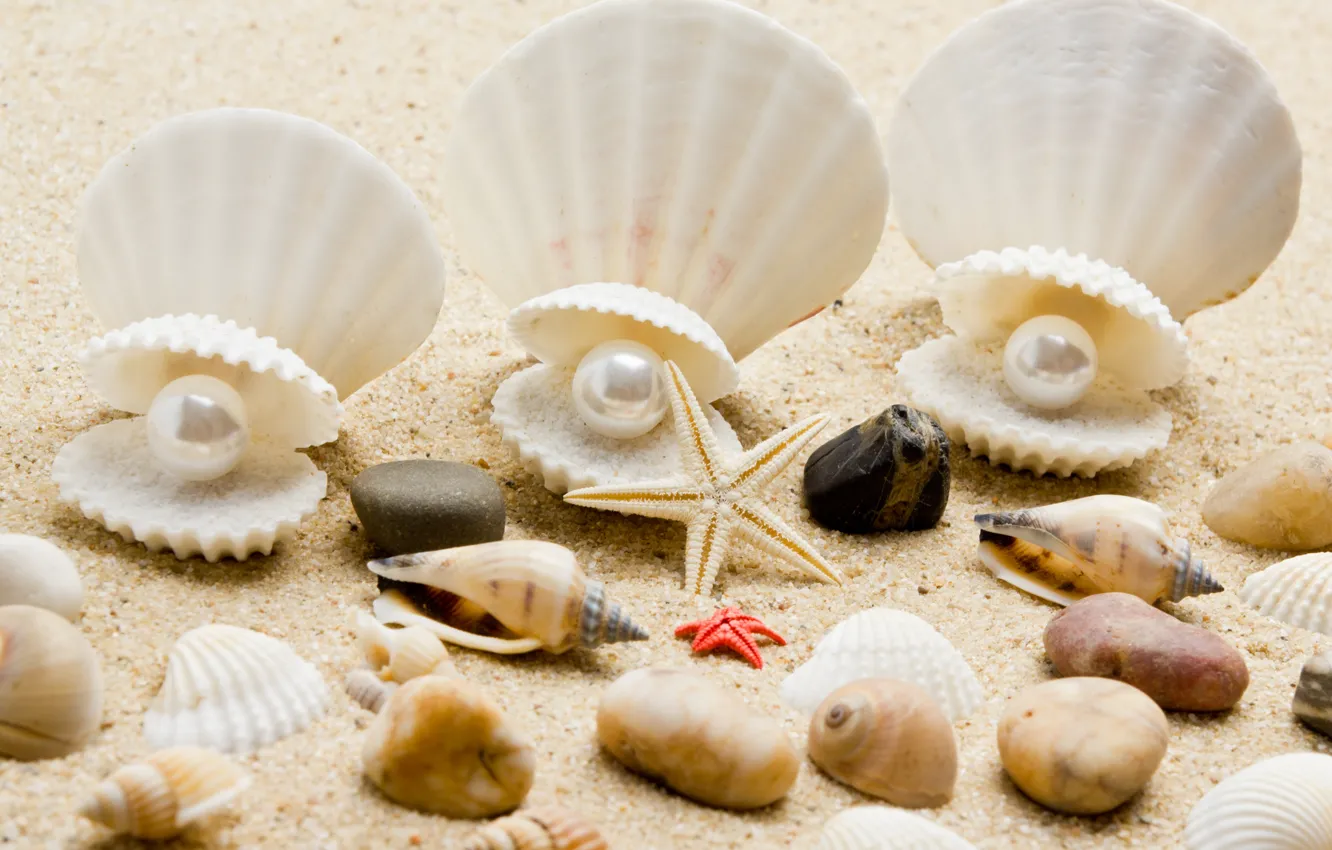 Фото обои песок, море, пляж, берег, ракушки, summer, beach, sea