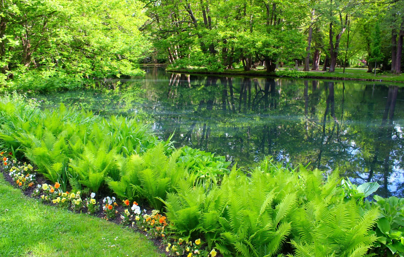 Фото обои green, park, lake