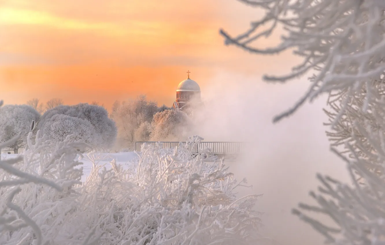 Фото обои зима, иней, ветки, Питер, храм, Россия