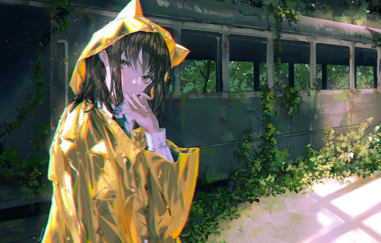 Фото обои девушка, поезд, дождевик