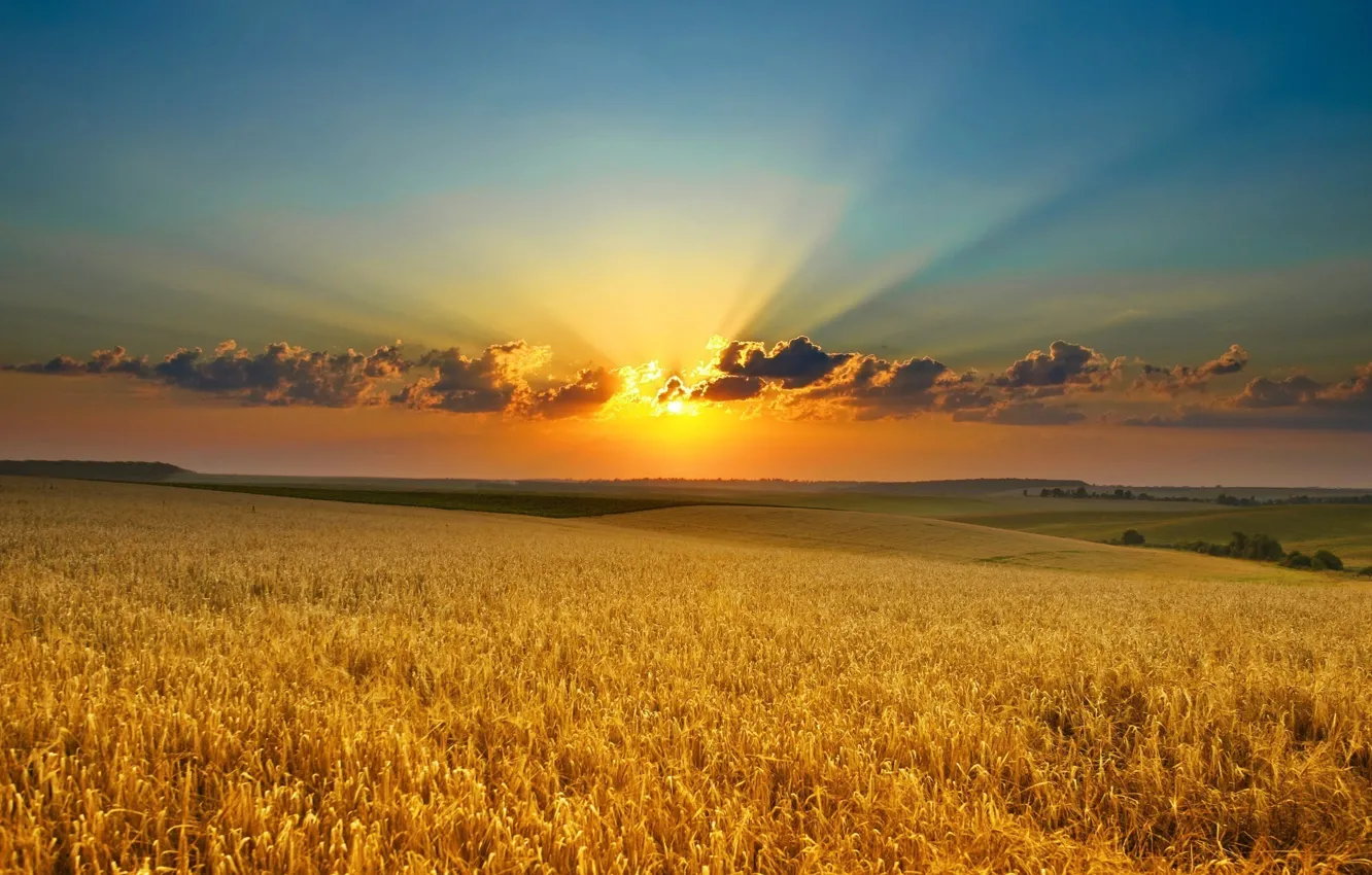 Фото обои sky, field, landscape, nature, Sunset, clouds, sun, horizon