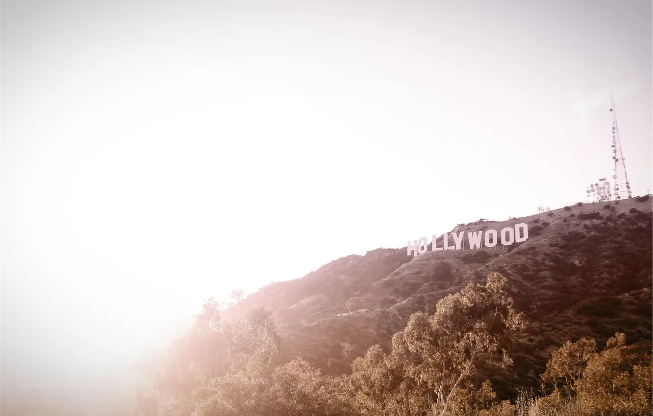 Фото обои буквы, надпись, склон, холм, голливуд, hollywood