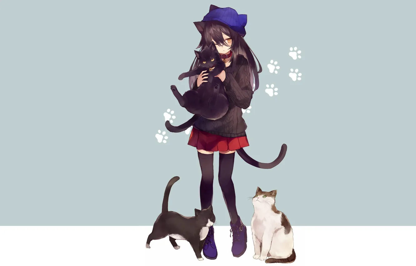 Фото обои кошка, кот, кошки, аниме, девочка
