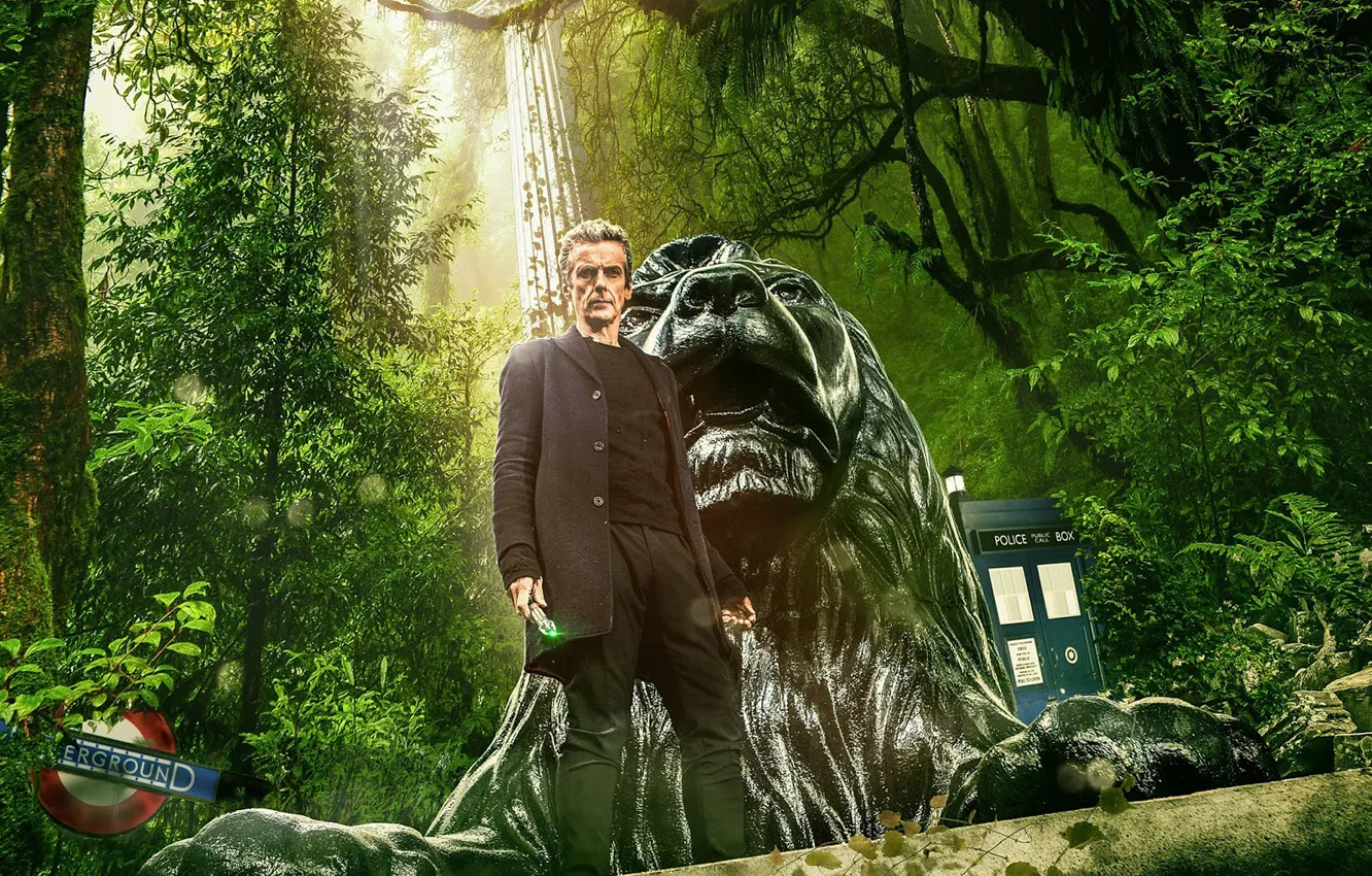 Фото обои зелень, лес, взгляд, деревья, актер, мужчина, Doctor Who, Доктор Кто