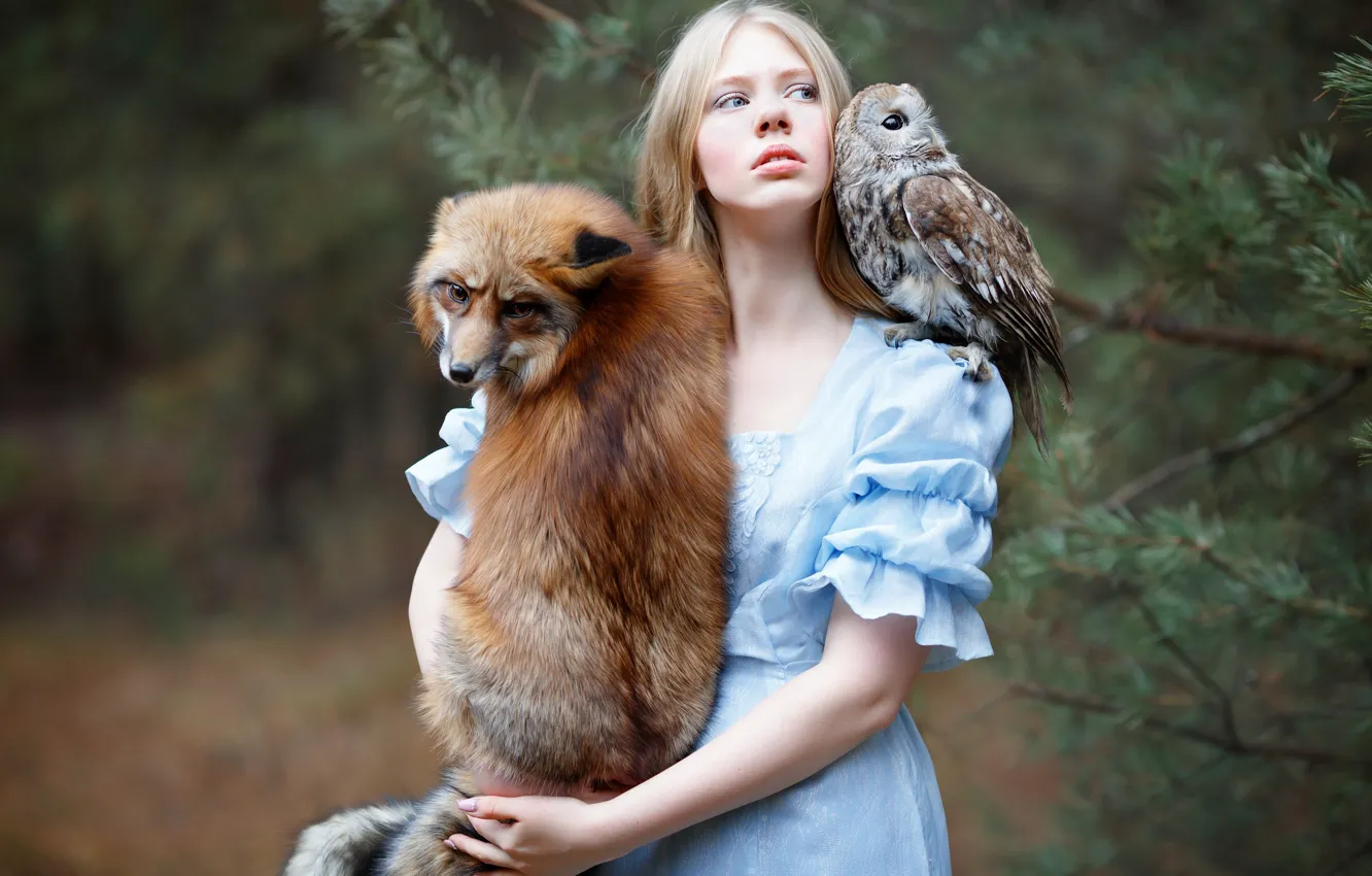 Фото обои девушка, сова, птица, лиса, рыжая, друзья, Юлия Ковальская, фотограф Светлана Никотина