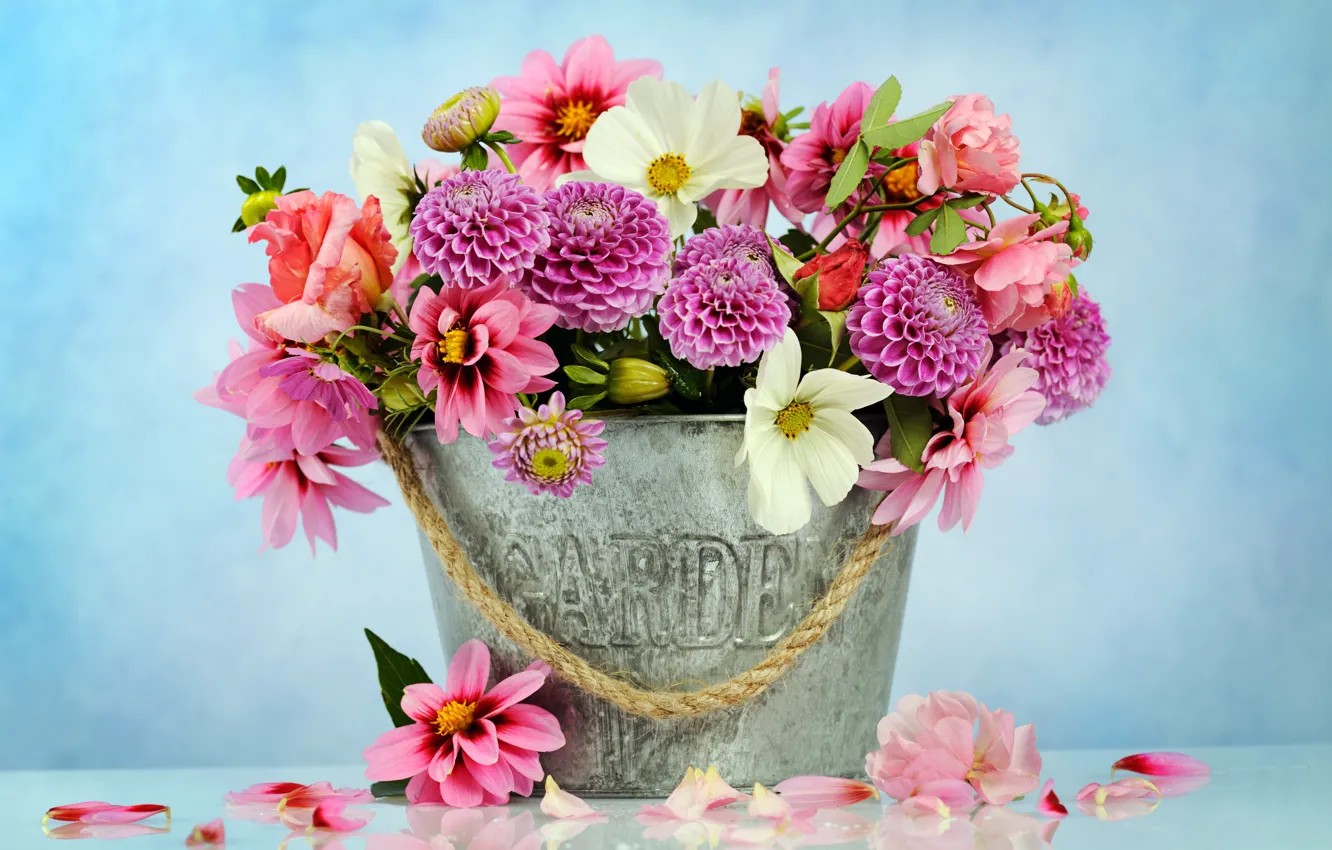 Фото обои цветы, корзина, букет, розовые, хризантемы, pink, flowers, beautiful