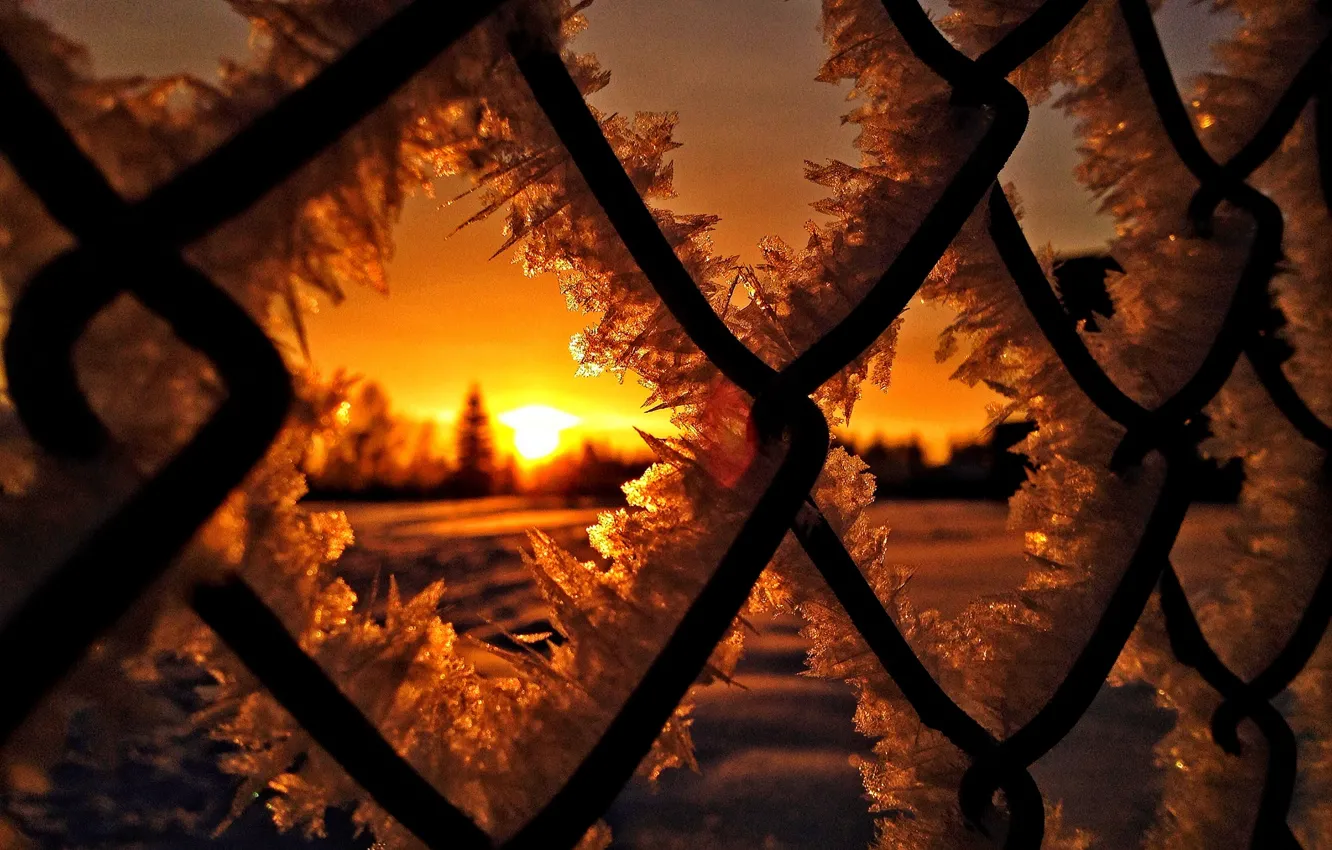 Фото обои лед, зима, солнце, снег, закат, природа, восход, мороз