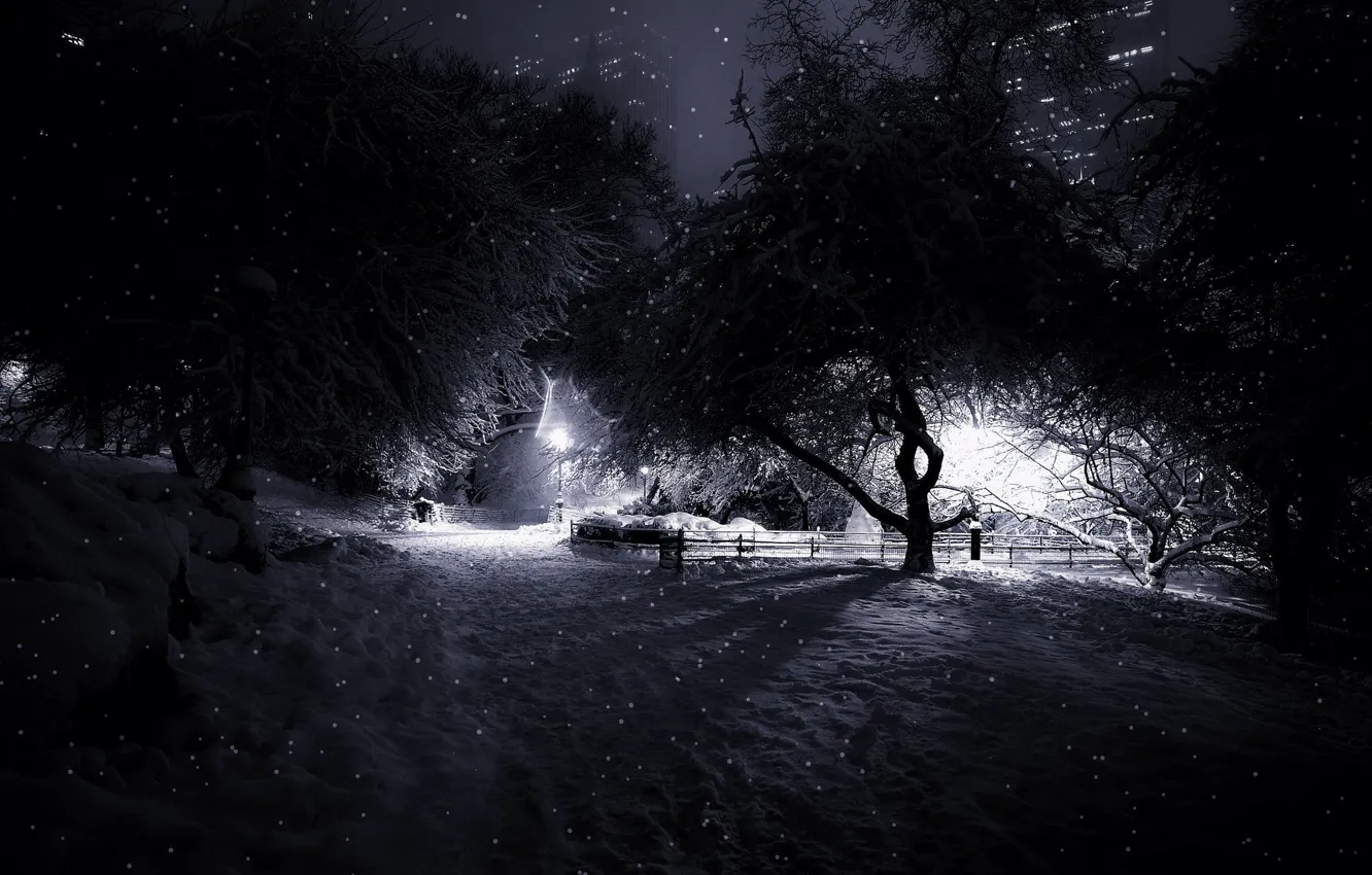 Фото обои снег, manhattan, central park