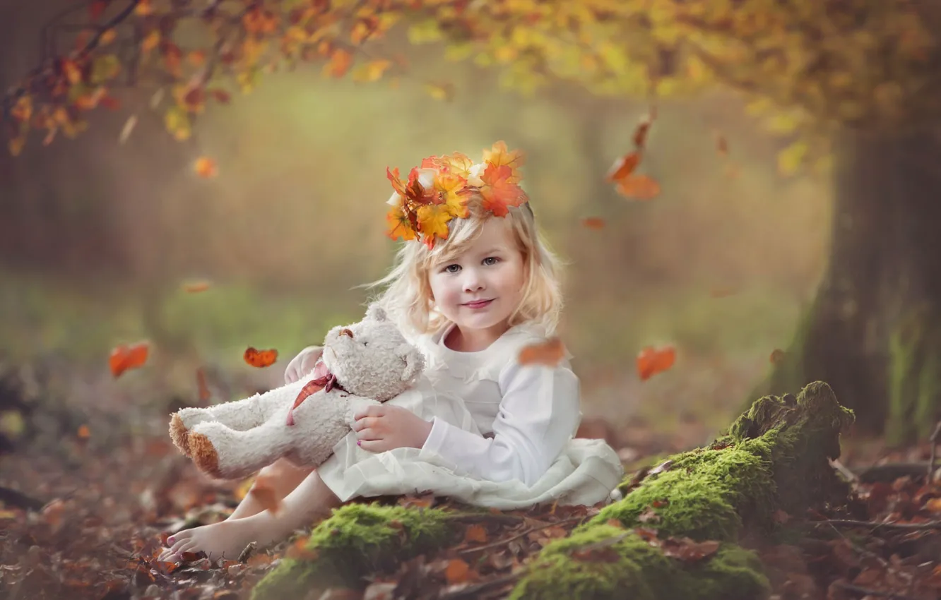 Фото обои осень, листья, природа, дерево, игрушка, мишка, девочка, плюшевый