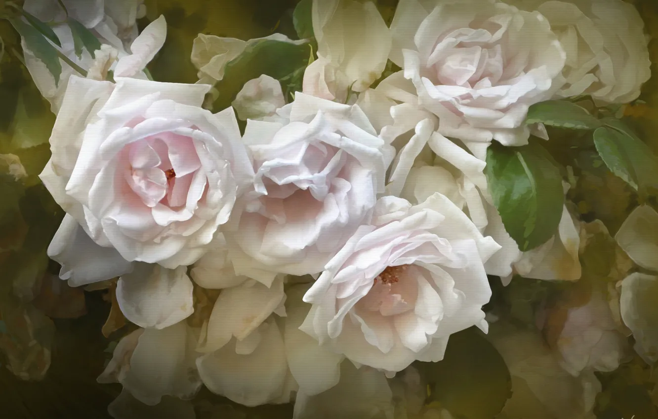 Фото обои розы, текстура, лепестки
