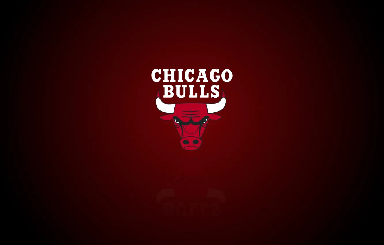 Фото обои Chicago, Logo, NBA, Chicago Bulls, Basketball, Sport, Emblem