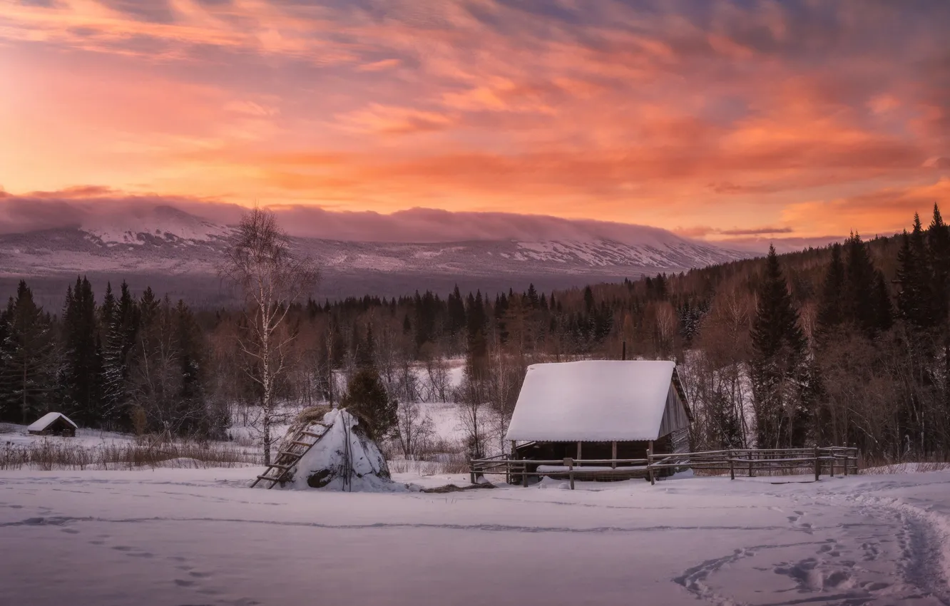 Фото обои зима, лес, небо, снег, рассвет, домик