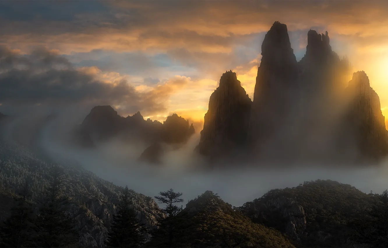 Фото обои лес, небо, свет, закат, горы, туман, скалы, рассвет