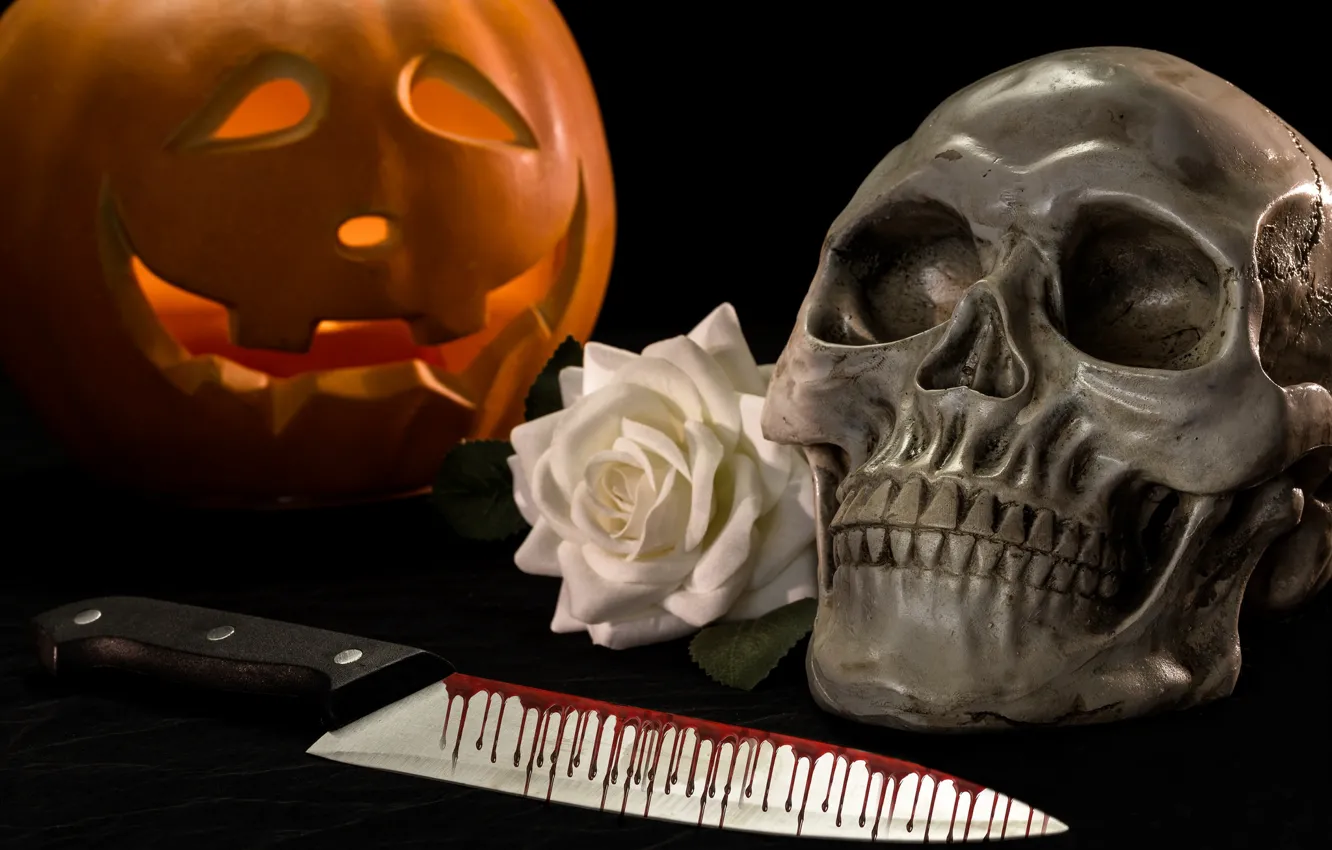 Фото обои кровь, роза, череп, нож, тыква, Хеллоуин