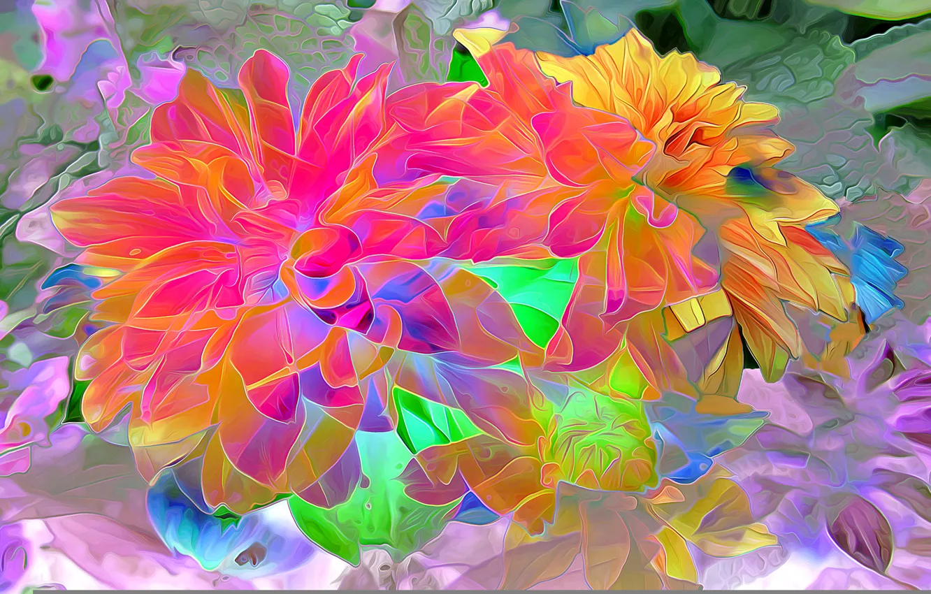 Фото обои цветок, линии, рендеринг, краски, лепестки
